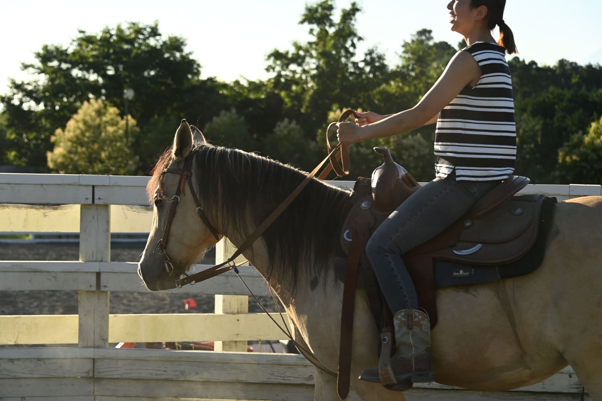 Winery Hills Ranch - 乗馬体験